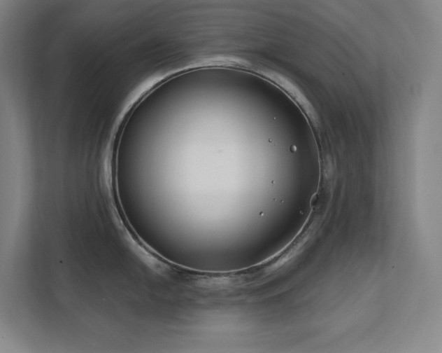 X0000111791054200907231139