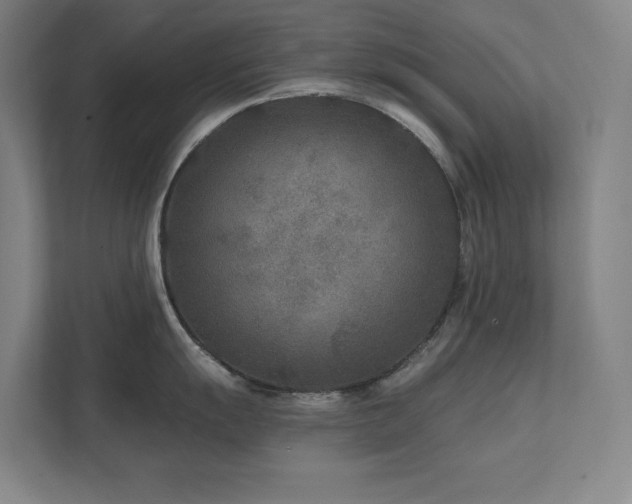 X0000111791055200907231139