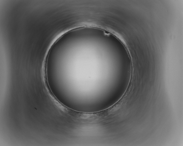 X0000111791056200907231139