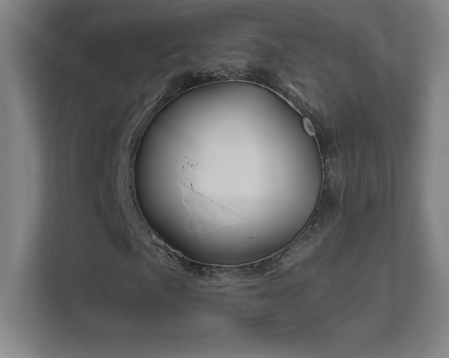 X0000111791057200907231138