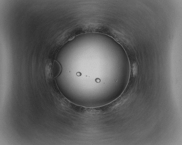 X0000111791059200907231138