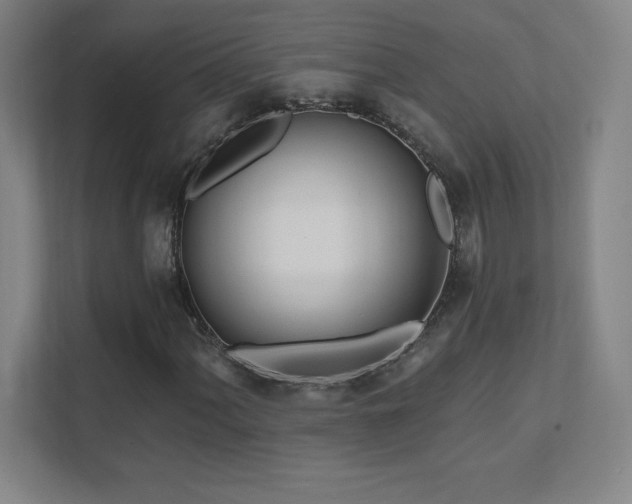 X0000111791060200907231138