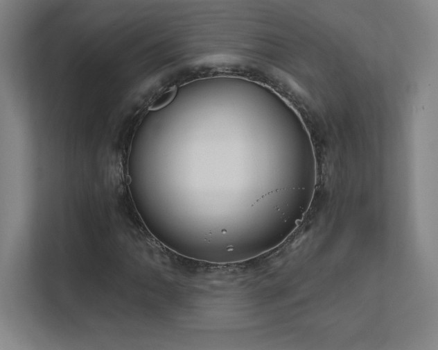 X0000111791062200907231138