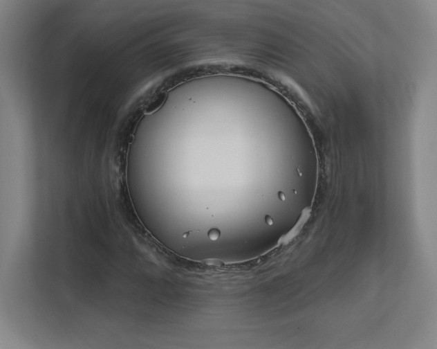 X0000111791064200907231138