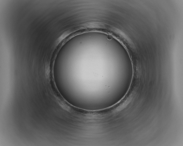 X0000111791065200907231138