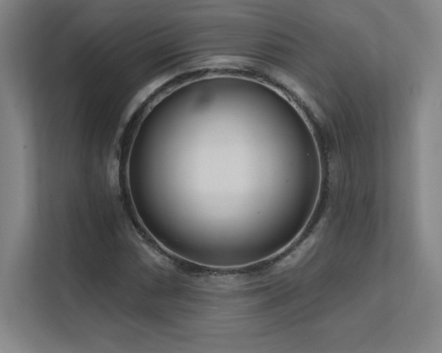 X0000111791066200907231138