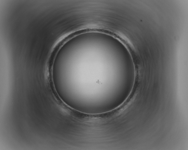 X0000111791070200907231138