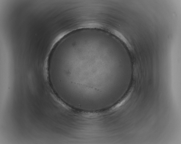 X0000111791071200907231138