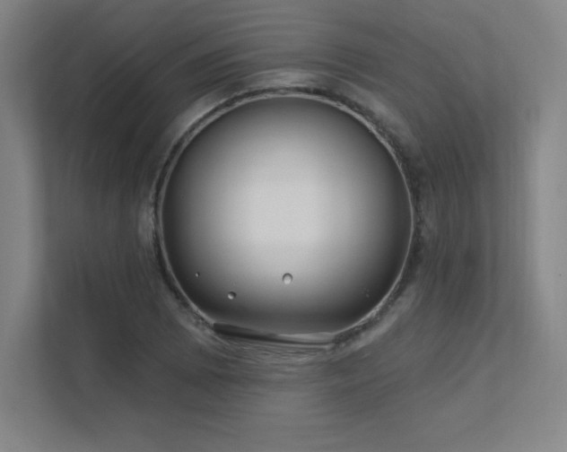 X0000111791073200907231138