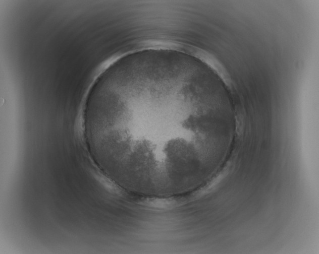 X0000111791074200907231138