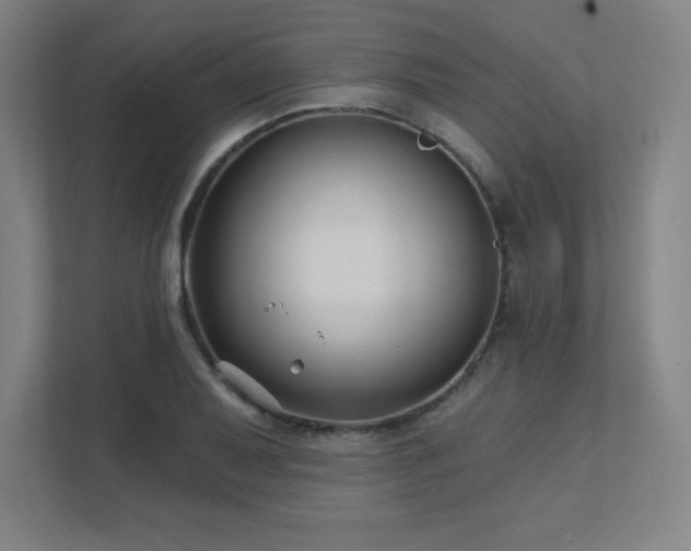 X0000111791079200907231138