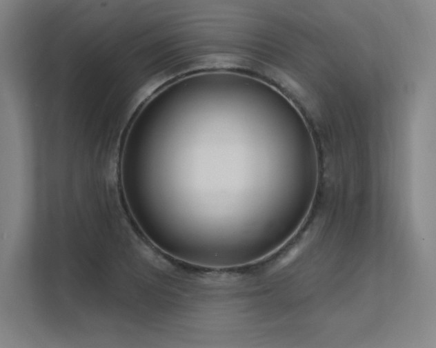 X0000111791081200907231138