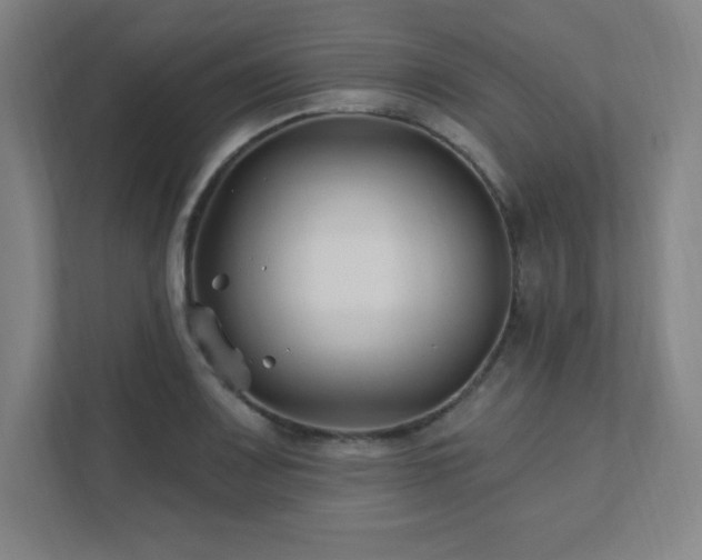 X0000111791083200907231138