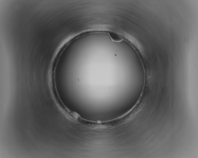 X0000111791085200907231138