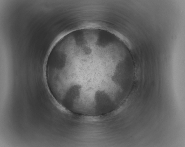 X0000111791086200907231138