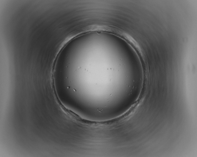 X0000111791089200907231138