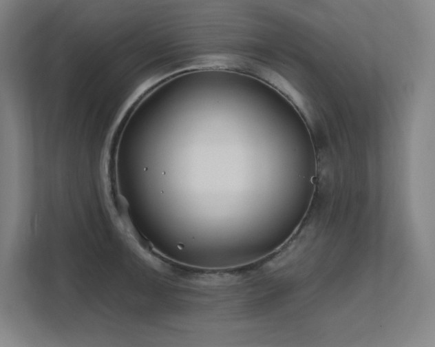 X0000111791091200907231138