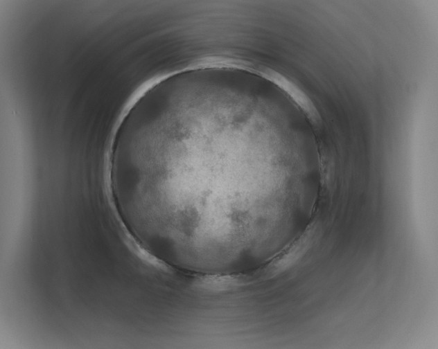 X0000111791094200907231138