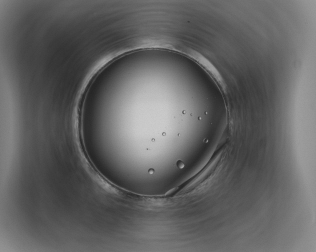 X0000111791096200907231138
