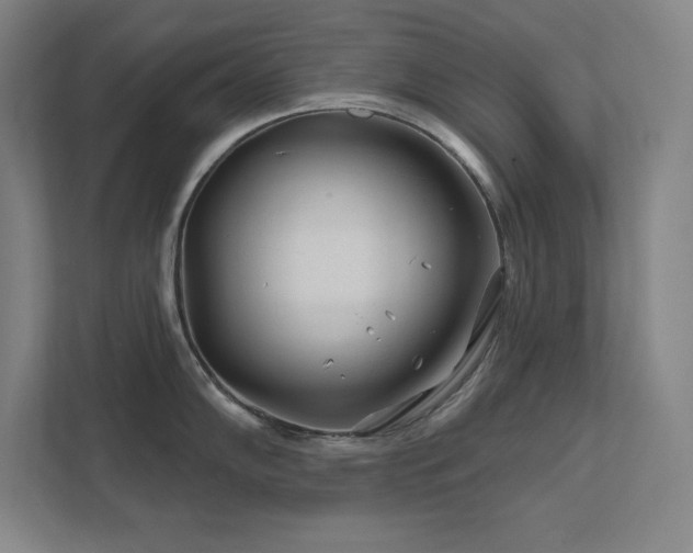 X0000111791102200907231138