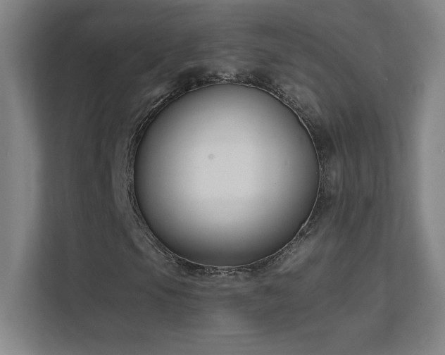 X0000111791105200907231137