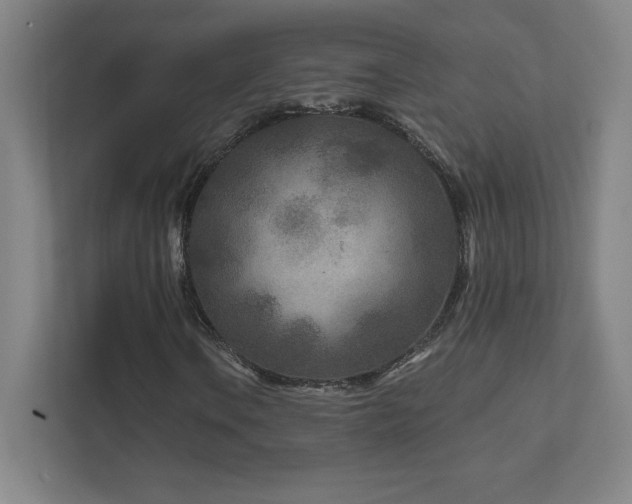 X0000111791106200907231137