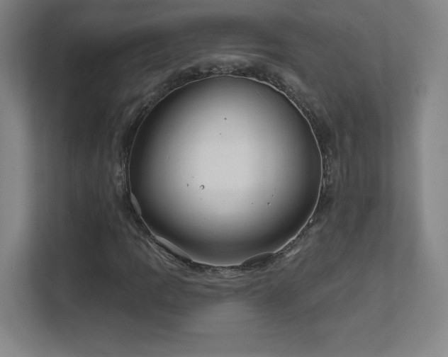 X0000111791109200907231137