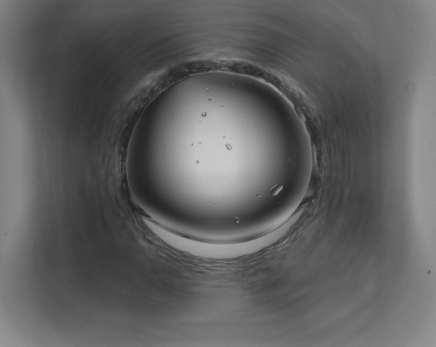 X0000111791110200907231137