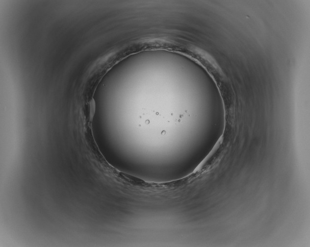 X0000111791111200907231137