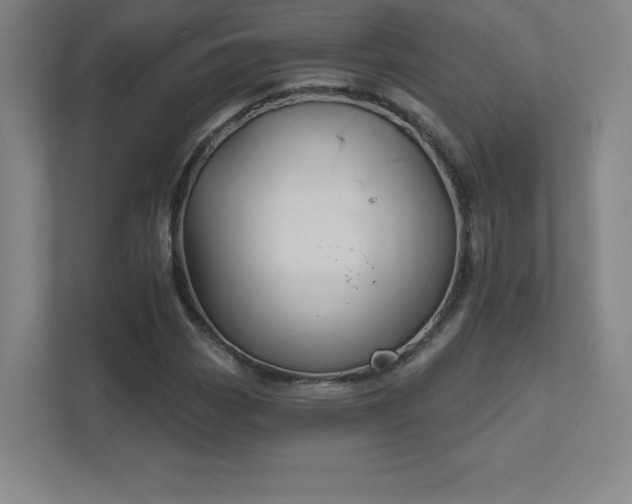 X0000111791113200907231137