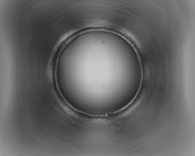 X0000111791114200907231137