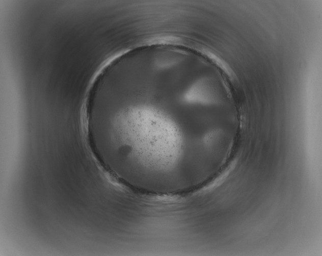 X0000111791117200907231137
