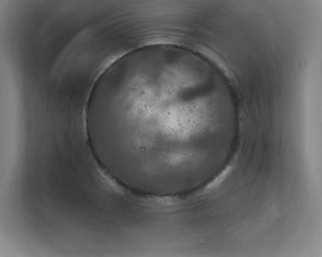 X0000111791121200907231137