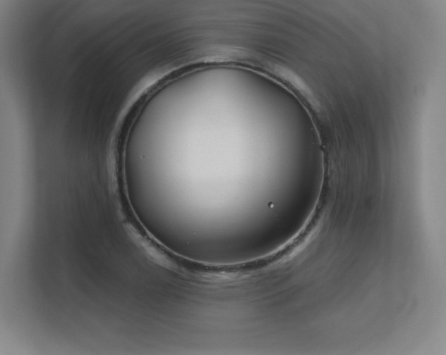 X0000111791122200907231137