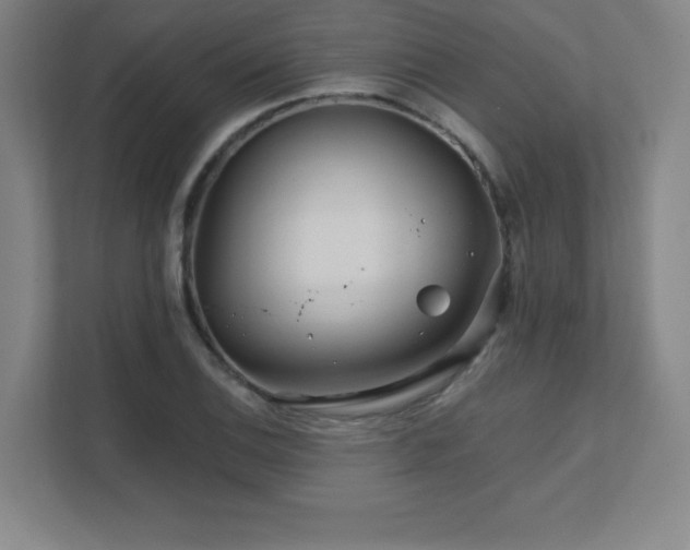X0000111791124200907231137