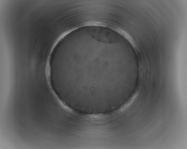 X0000111791125200907231137