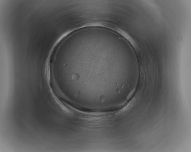X0000111791127200907231137