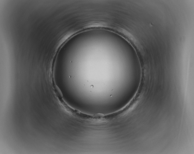 X0000111791129200907231137