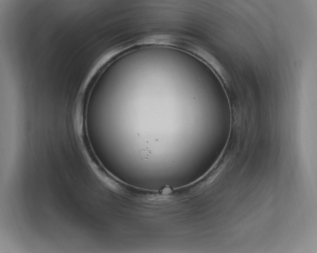 X0000111791131200907231137
