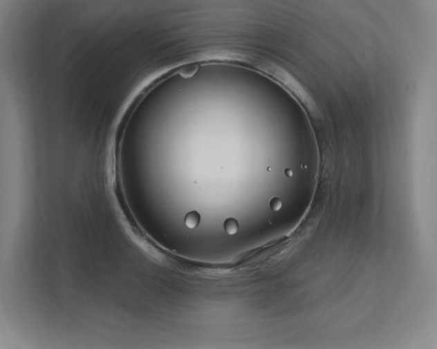 X0000111791132200907231137