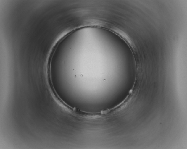 X0000111791135200907231137