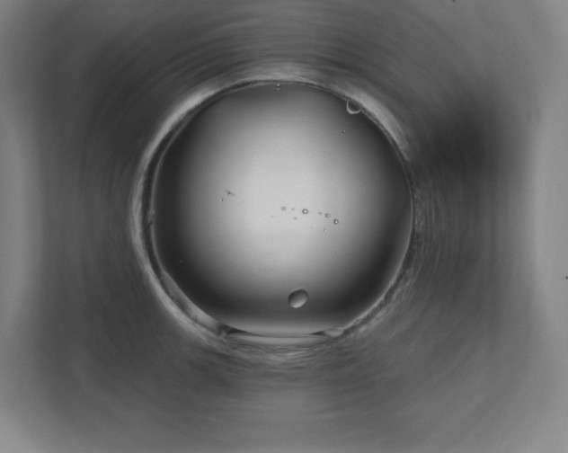 X0000111791139200907231137