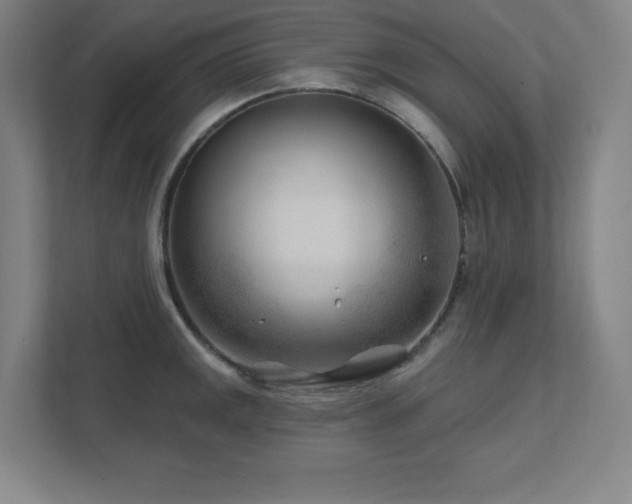 X0000111791141200907231138