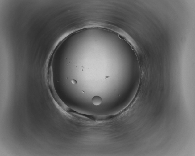 X0000111791143200907231138