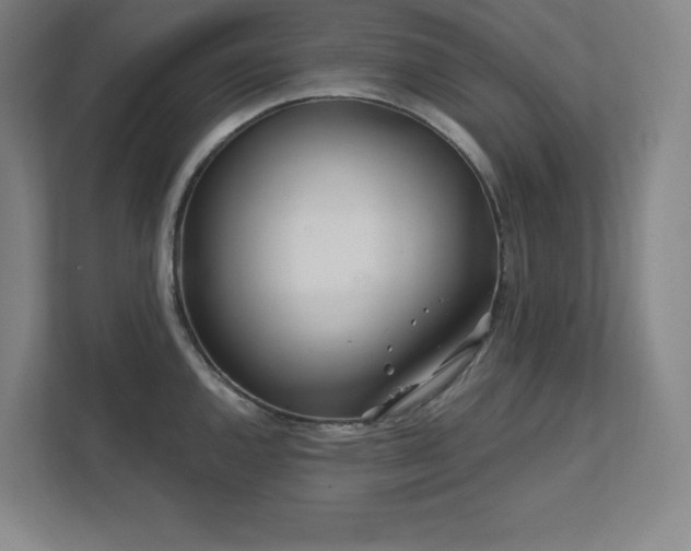 X0000111791144200907231138