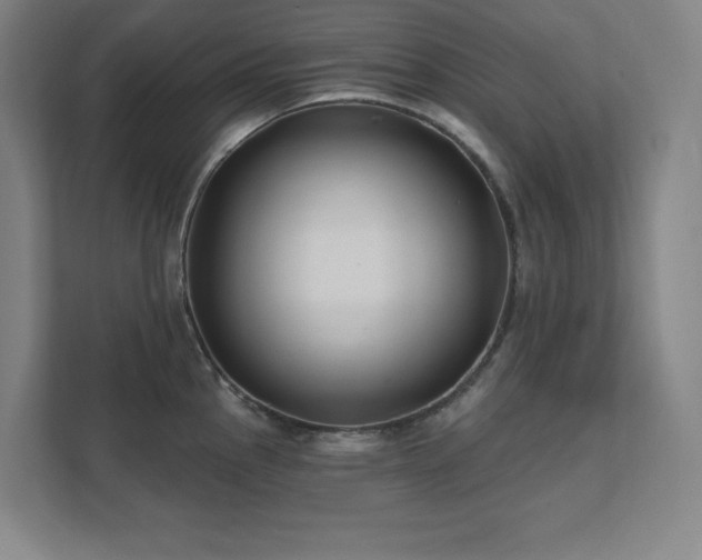 X0000111791145200907231138