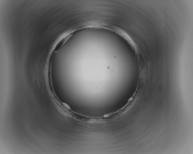 X0000111791146200907231138