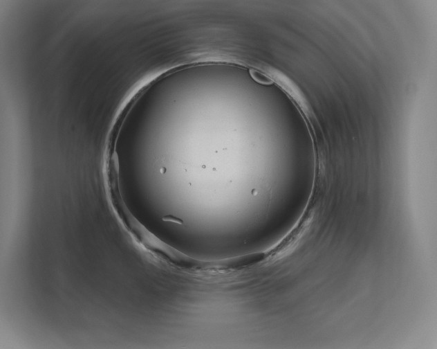 X0000111791149200907231138