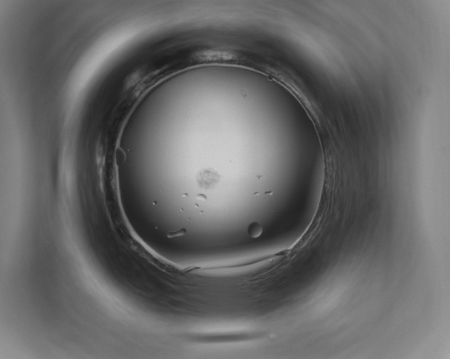 X0000111791151200907231138