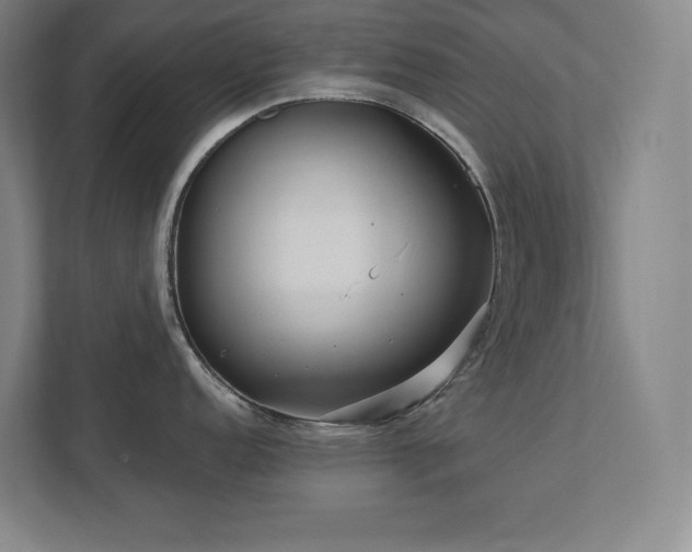 X0000111791152200907231138